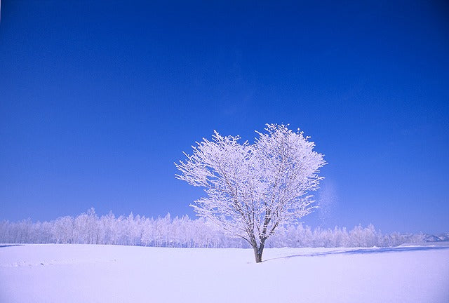 hokkaido-winter-furano-view