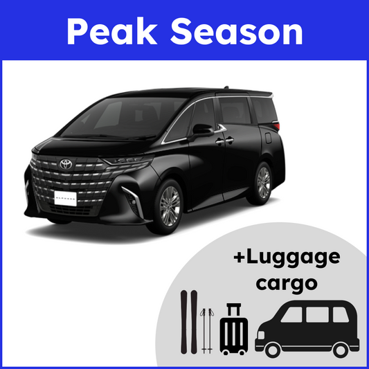 mini_cargo-p1